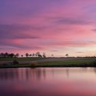 Farbenspiel am Neuweiher