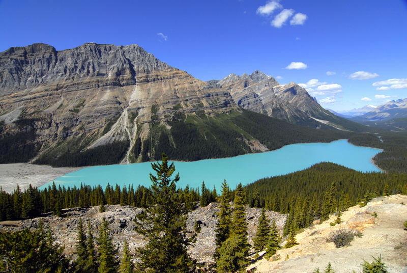 Farbenspiel am Peyto - Lake