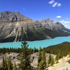 Farbenspiel am Peyto - Lake