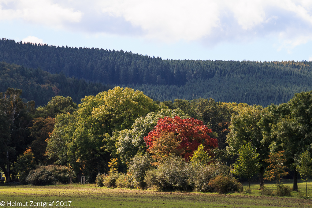 Farbenspiel am Rande des Thüringer Waldes