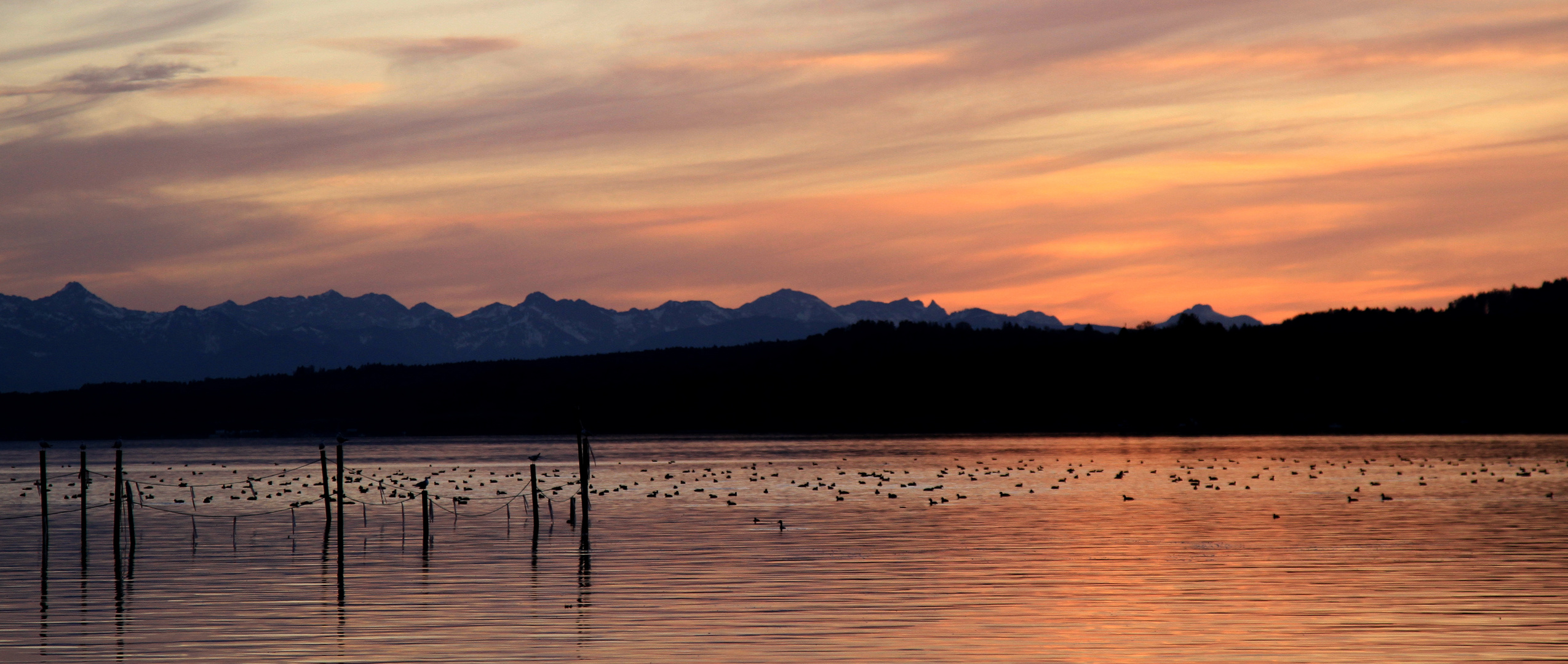 Farbenspiel am See #2