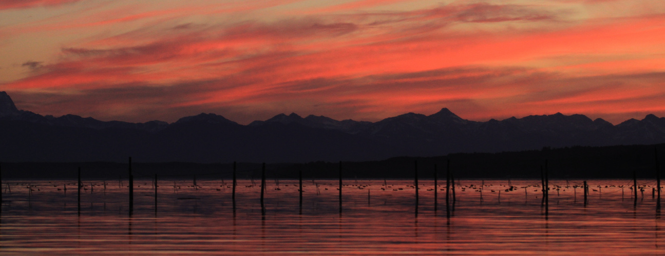 Farbenspiel am See #4