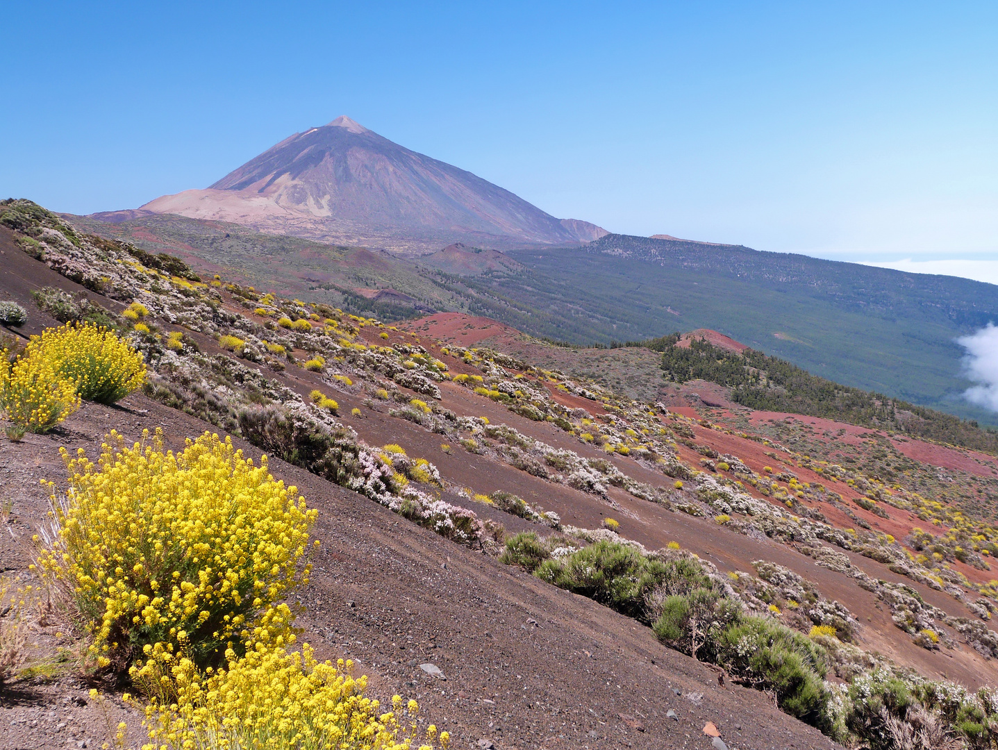 Farbenspiel am Teide