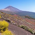 Farbenspiel am Teide