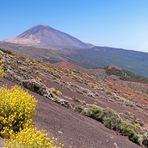 Farbenspiel am Teide