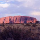 Farbenspiel am Uluru