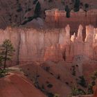 Farbenspiel Bryce Canyon 