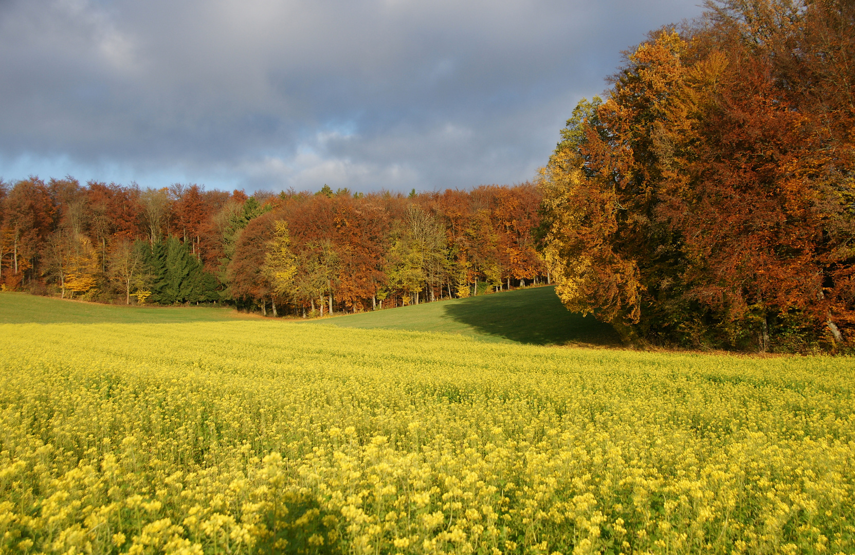 Farbenspiel