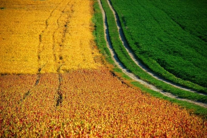 Farbenspiel der Landwirte...