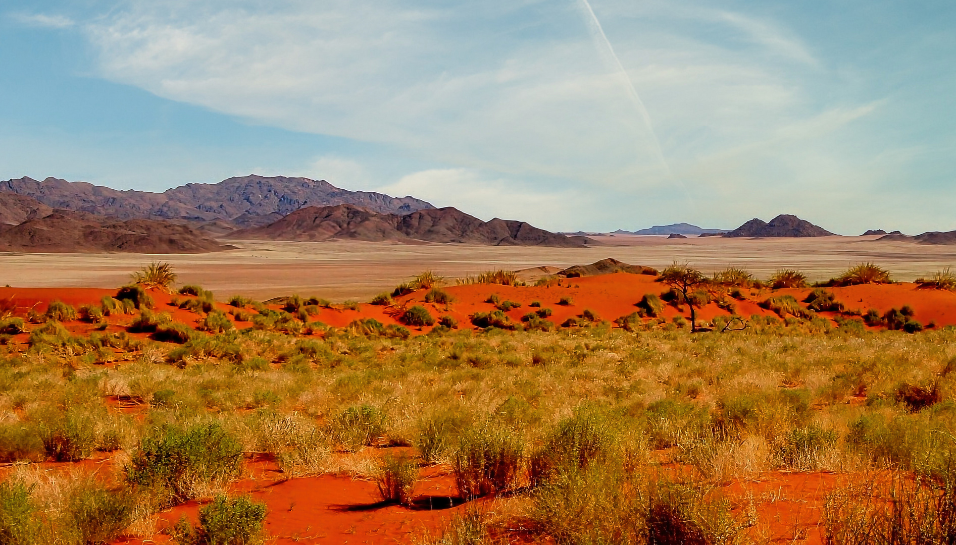 Farbenspiel der Namib Wüste