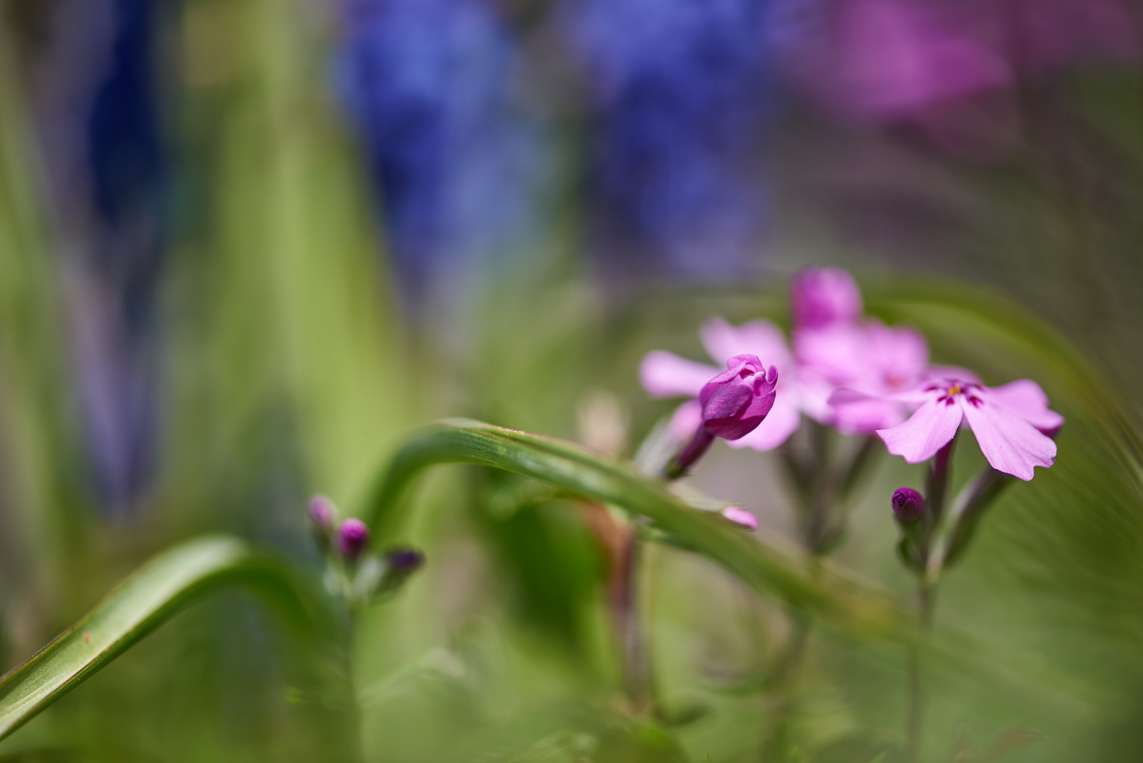 Farbenspiel der Natur