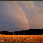 Farbenspiel der Natur