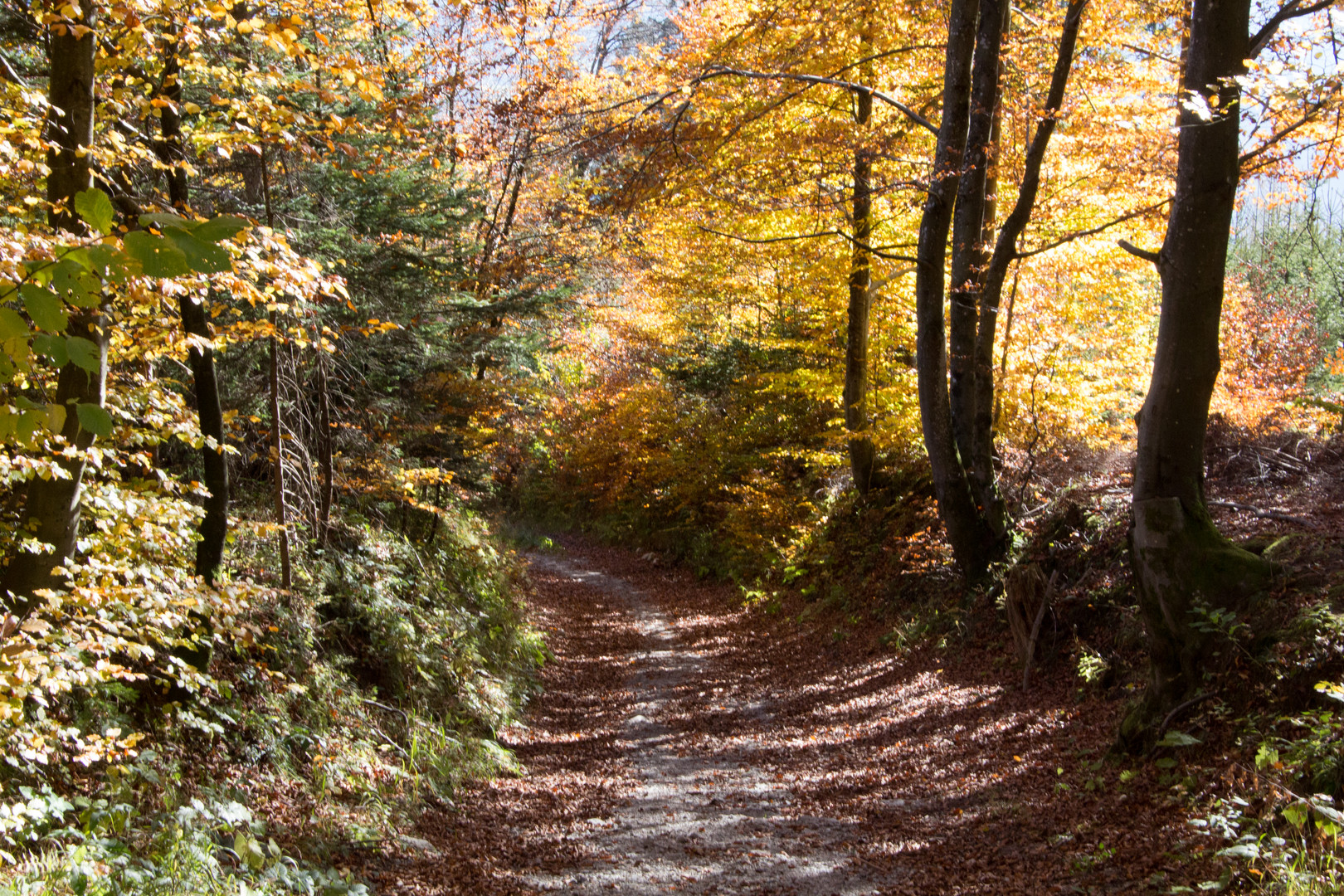 Farbenspiel der Natur