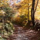 Farbenspiel der Natur