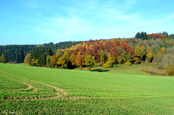 Farbenspiel der Natur