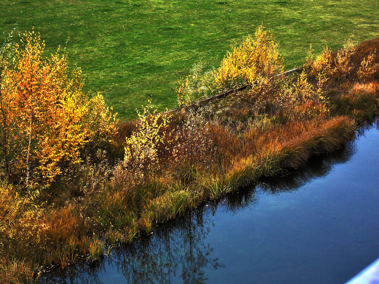 Farbenspiel der Natur