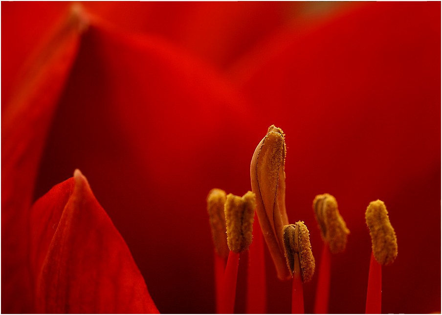 Farbenspiel der Natur