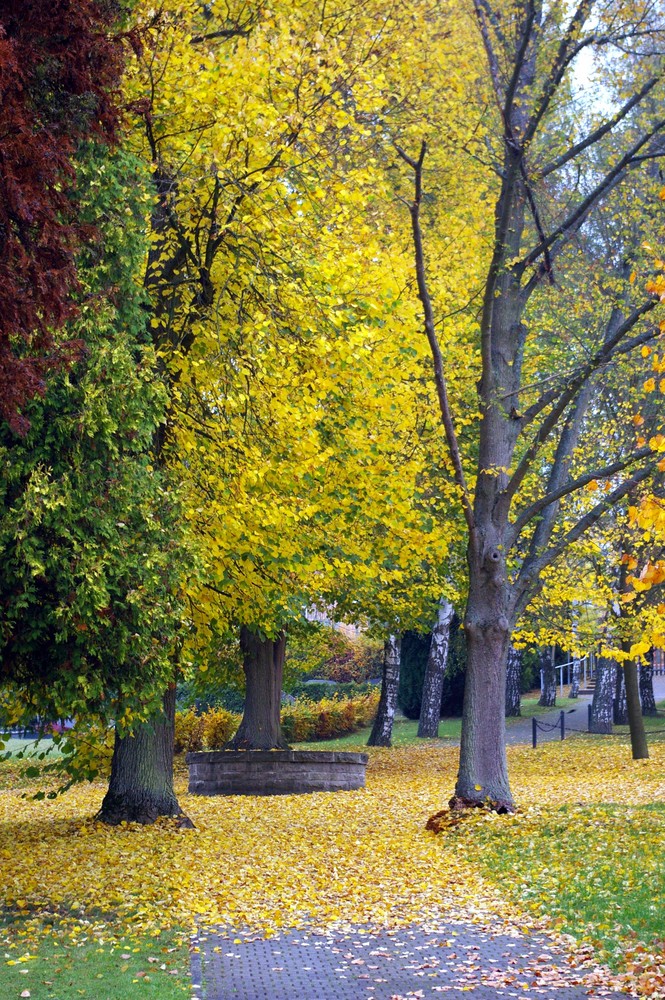 Farbenspiel "Herbst"