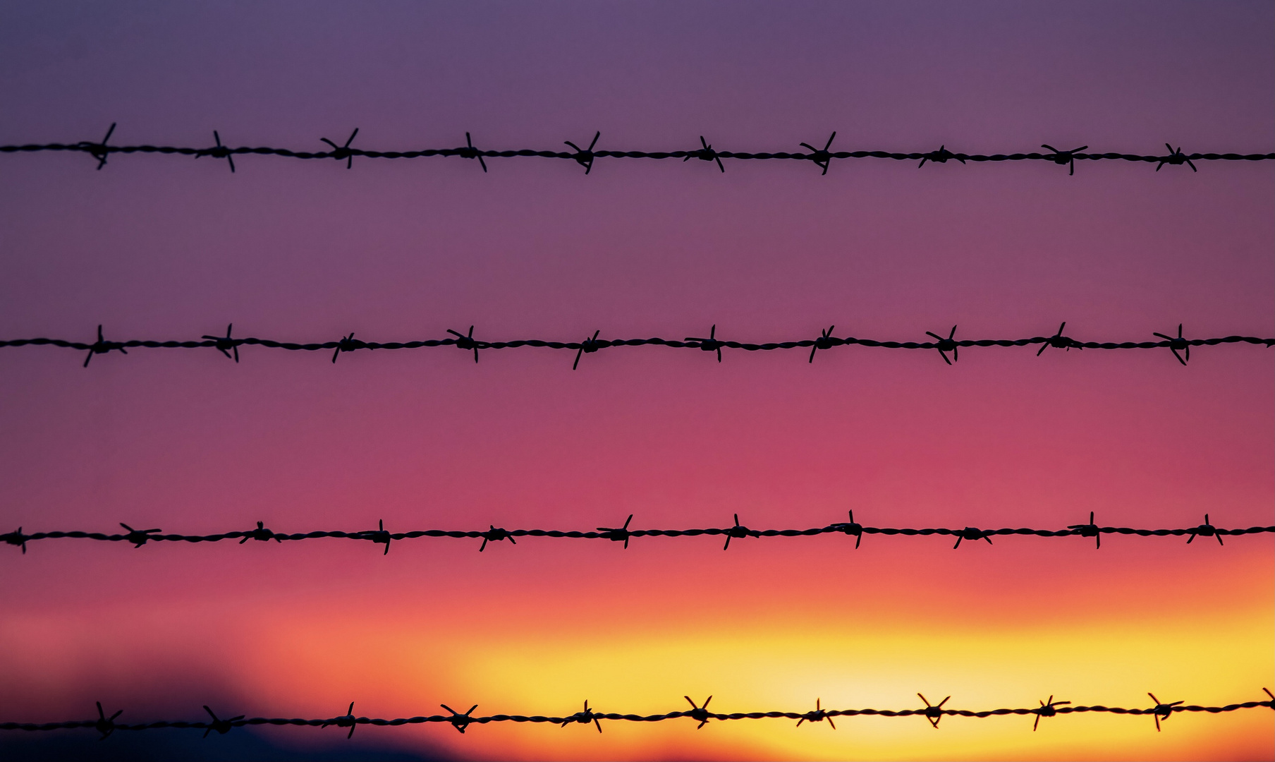 farbenspiel hinter dem Stacheldrahtzaun