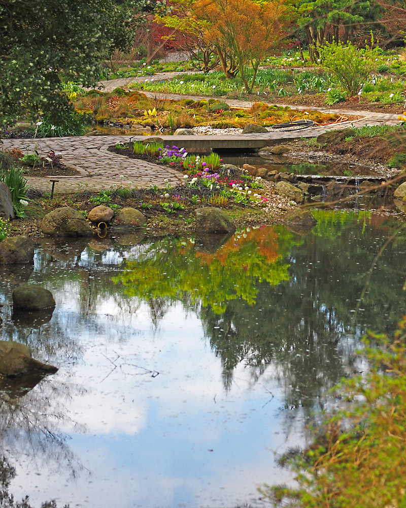 Farbenspiel im Botanischen Garten Hamburg