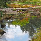 Farbenspiel im Botanischen Garten Hamburg