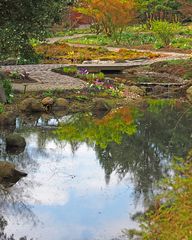 Farbenspiel im Botanischen Garten Hamburg