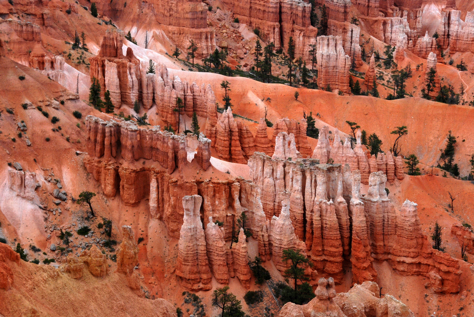 Farbenspiel im Bryce Canyon