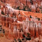 Farbenspiel im Bryce Canyon