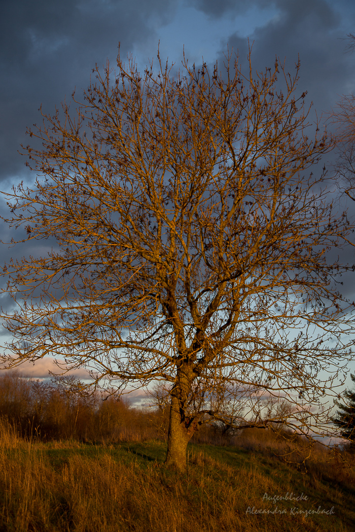 FarbenSpiel im Dezember