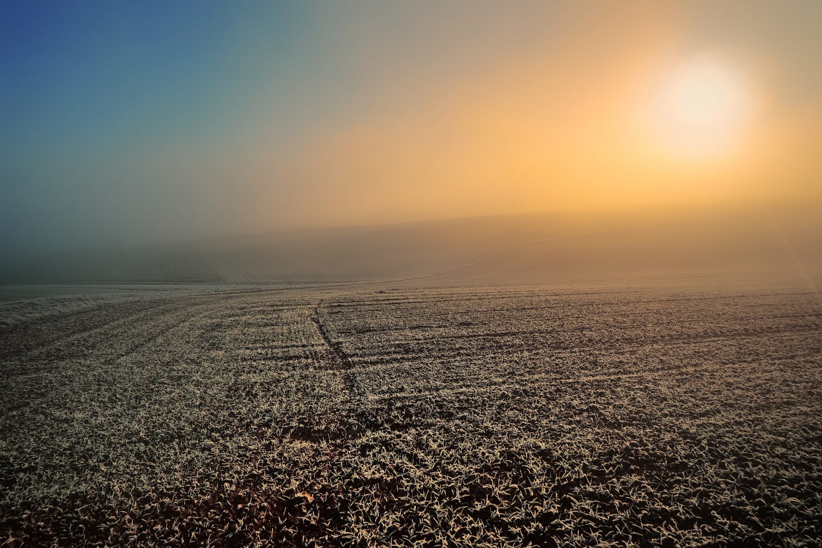 Farbenspiel im frostigen Morgennebel