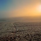 Farbenspiel im frostigen Morgennebel