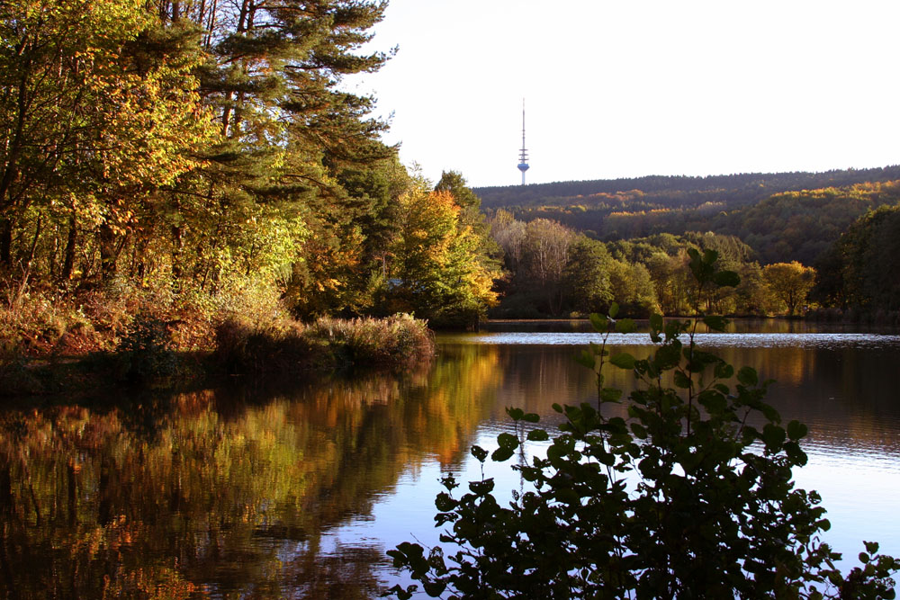 Farbenspiel im Herbst