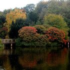 Farbenspiel im Herbst / Couleurs d'automne