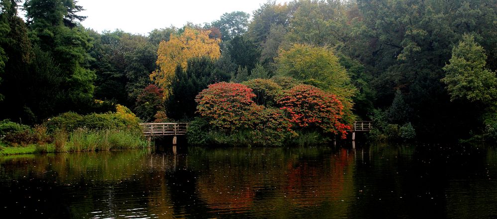 Farbenspiel im Herbst / Couleurs d'automne