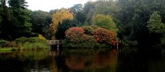 Farbenspiel im Herbst / Couleurs d'automne