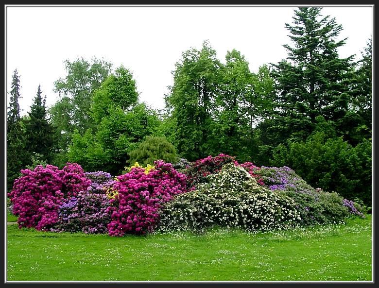 Farbenspiel im Park 2