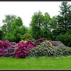 Farbenspiel im Park 2