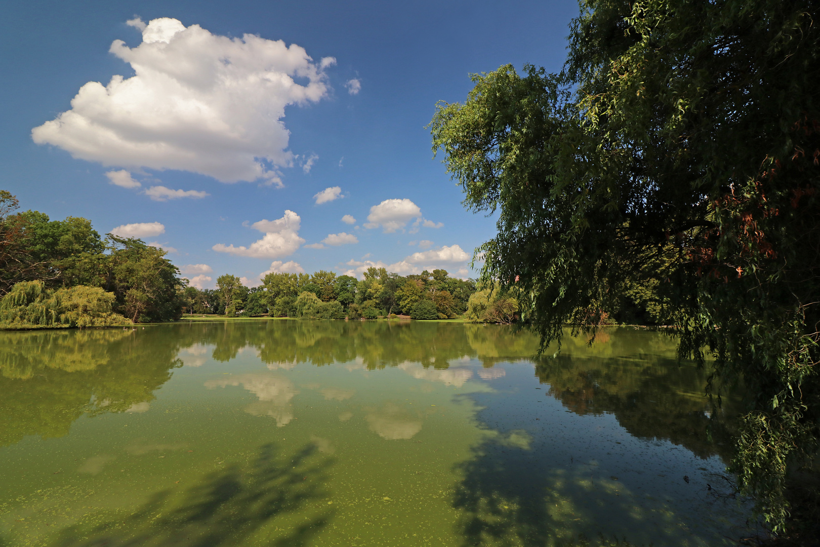 Farbenspiel im Wasser