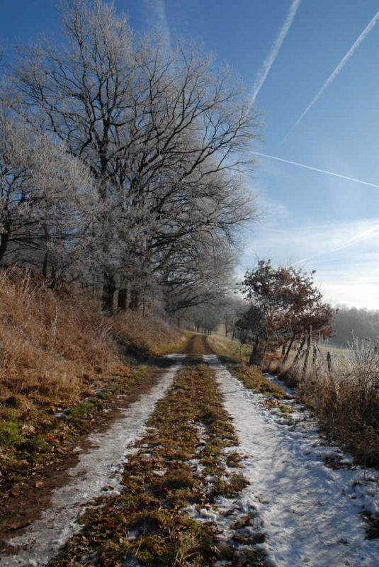 Farbenspiel im Winter