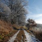 Farbenspiel im Winter