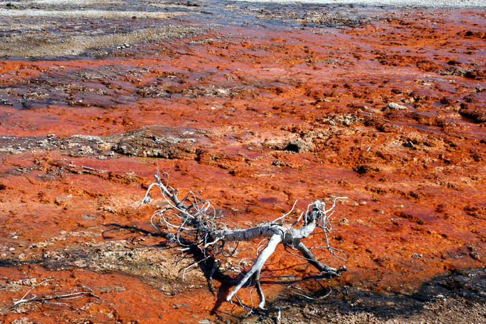 Farbenspiel im Yellowstone