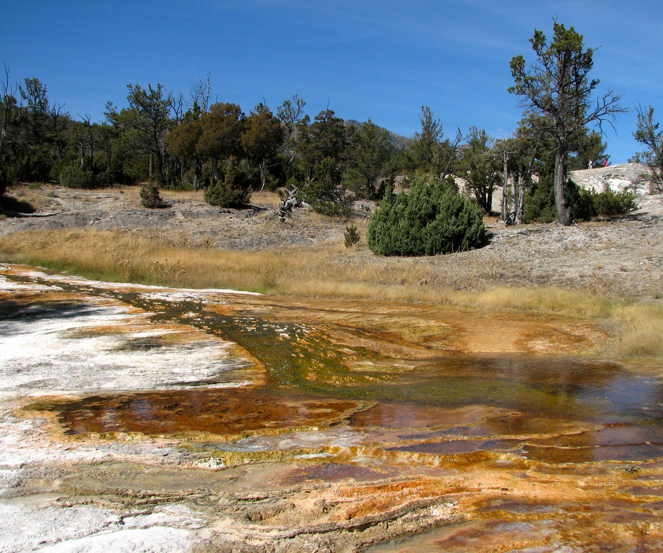 Farbenspiel im Yellowstone NP