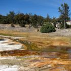 Farbenspiel im Yellowstone NP