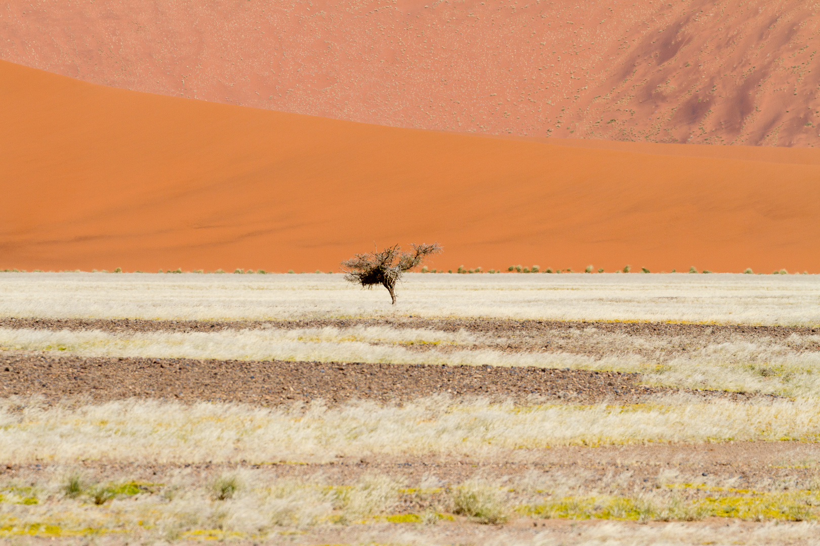 Farbenspiel in der Namib