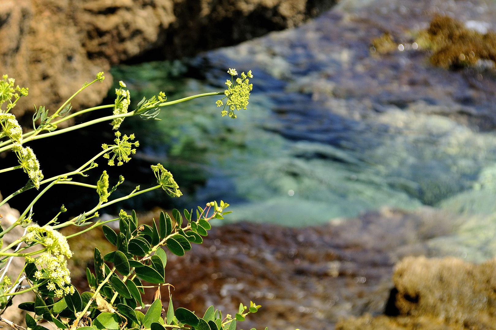 Farbenspiel in der Natur