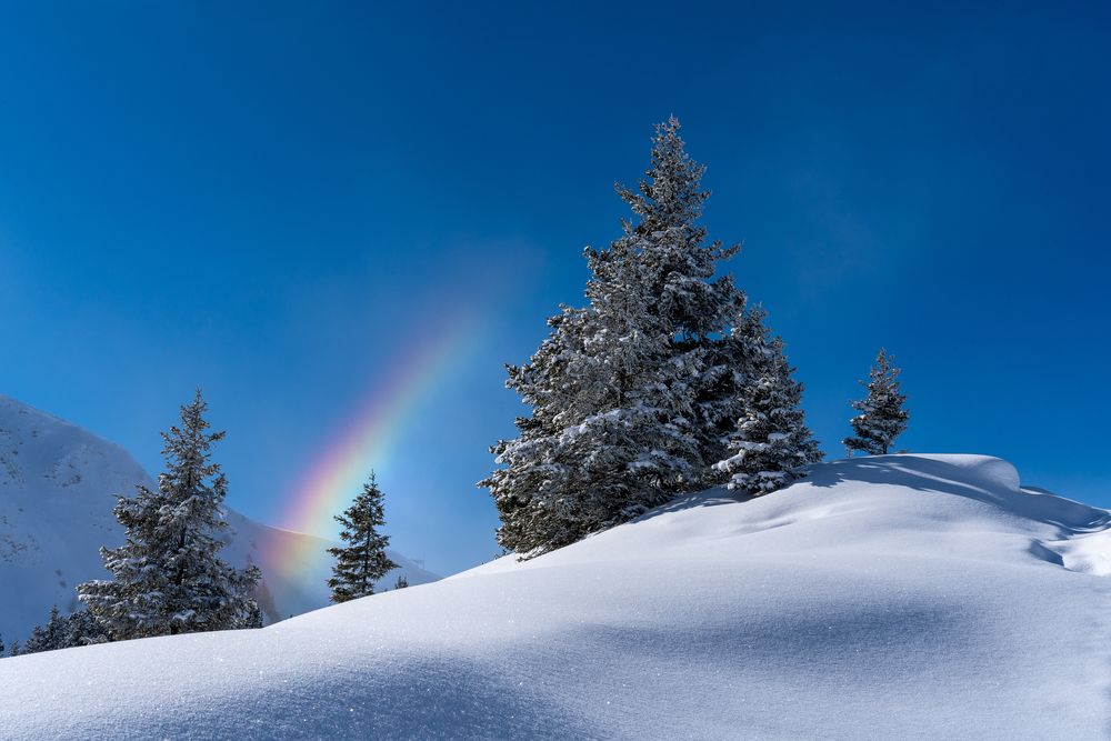 Farbenspiel in Winterlandschaft