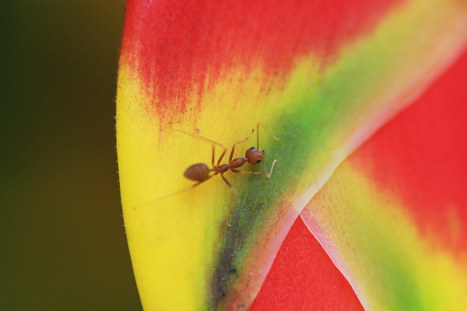 Farbenspiel mit Besucher