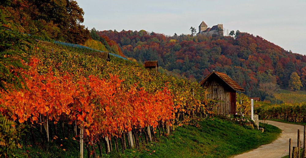 Farbenspiel mit Burg