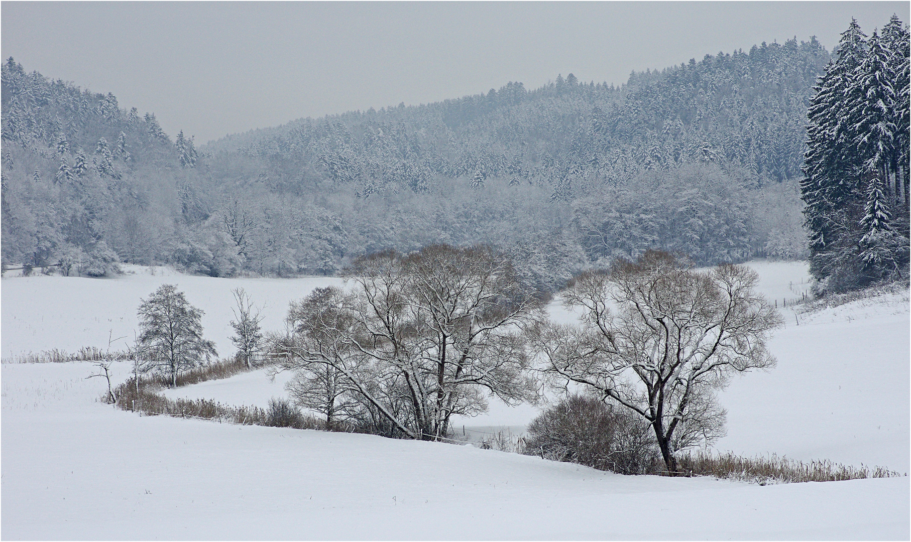 Farbenspiel mit Schnee