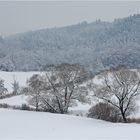 Farbenspiel mit Schnee